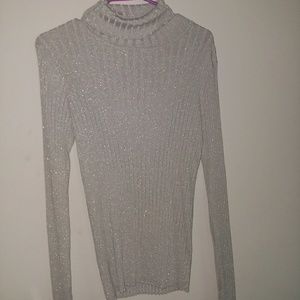 Grey Sparkled Turtleneck